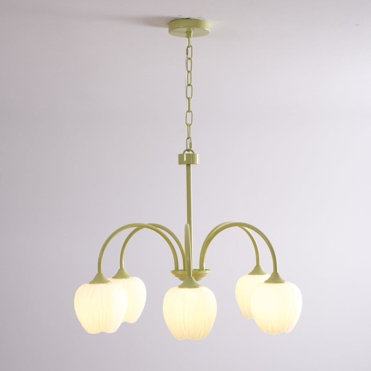 Contemporary Iron Curved Arms Chandelier 5-Light
