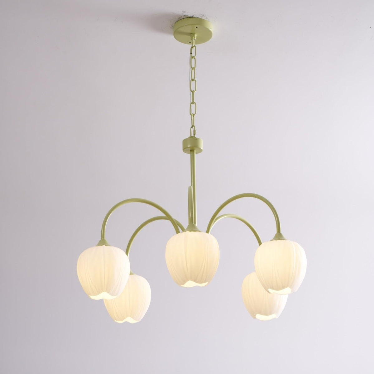 Contemporary Iron Curved Arms Chandelier 5-Light