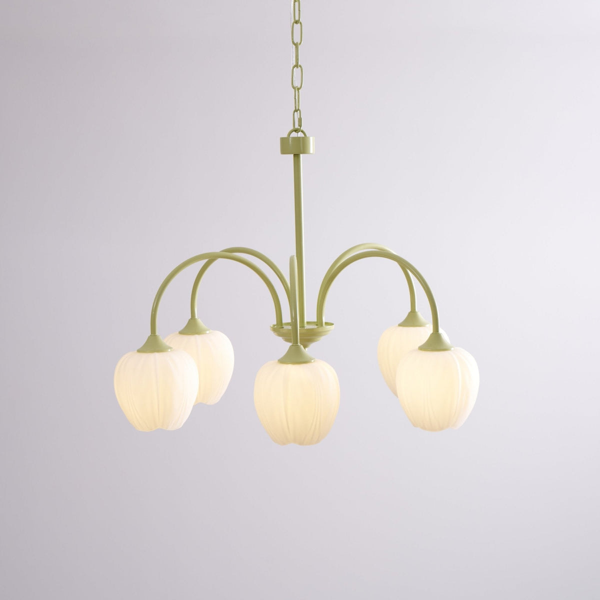 Contemporary Iron Curved Arms Chandelier 5-Light