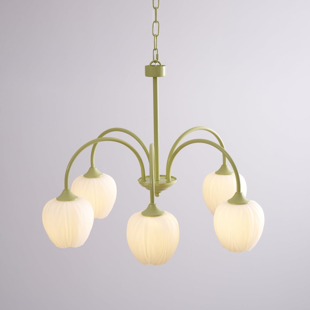Contemporary Iron Curved Arms Chandelier 5-Light