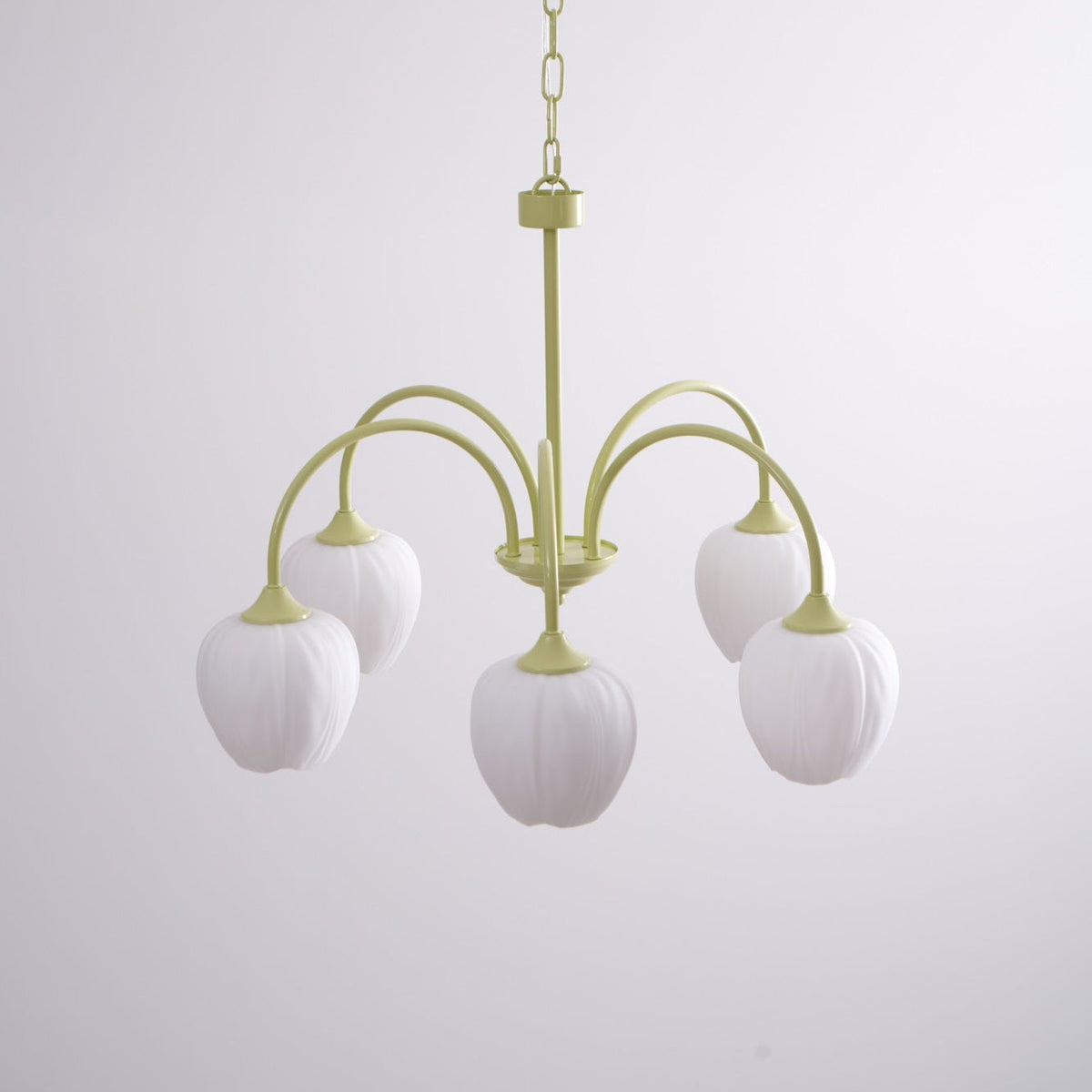Contemporary Iron Curved Arms Chandelier 5-Light