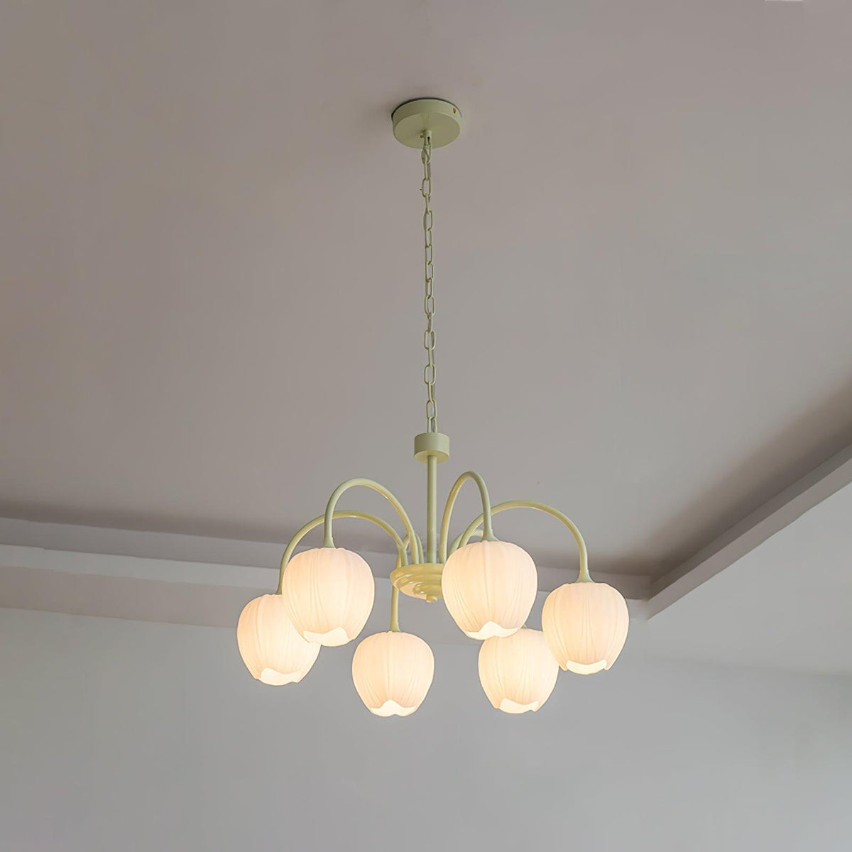 Contemporary Iron Curved Arms Chandelier 5-Light