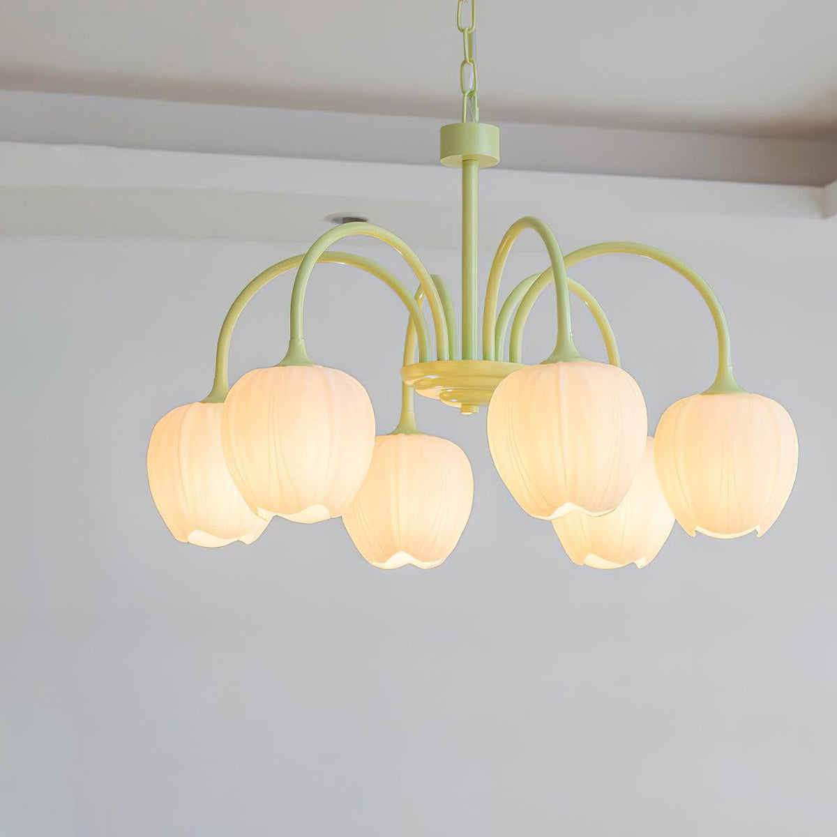 Contemporary Iron Curved Arms Chandelier 5-Light