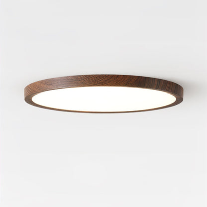 Modern Acrylic Dimmable Ceiling Light 1-Light