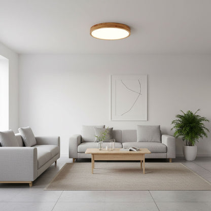 Scandinavian Iron Remote Dimming Ceiling Light 1-Light