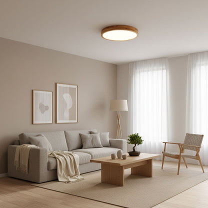Scandinavian Iron Remote Dimming Ceiling Light 1-Light
