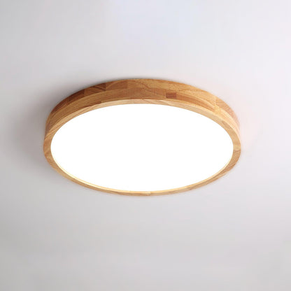 Scandinavian Iron Remote Dimming Ceiling Light 1-Light