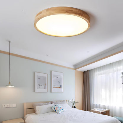 Scandinavian Iron Remote Dimming Ceiling Light 1-Light
