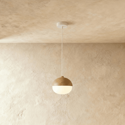 Modern Iron Shade Pendant Light 1-Light