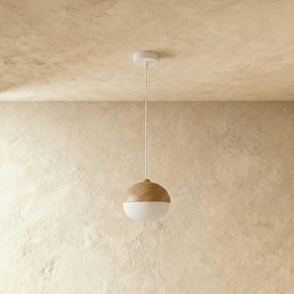 Modern Iron Shade Pendant Light 1-Light