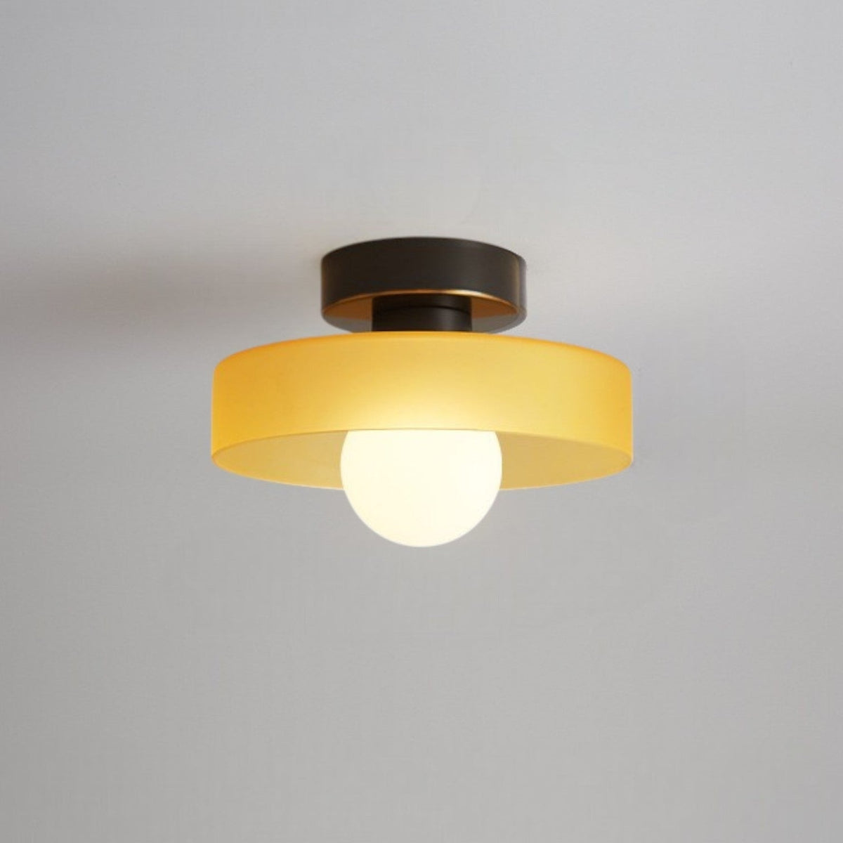 Ceiling Light LED Round Shade Exposed Bulb For Hallway