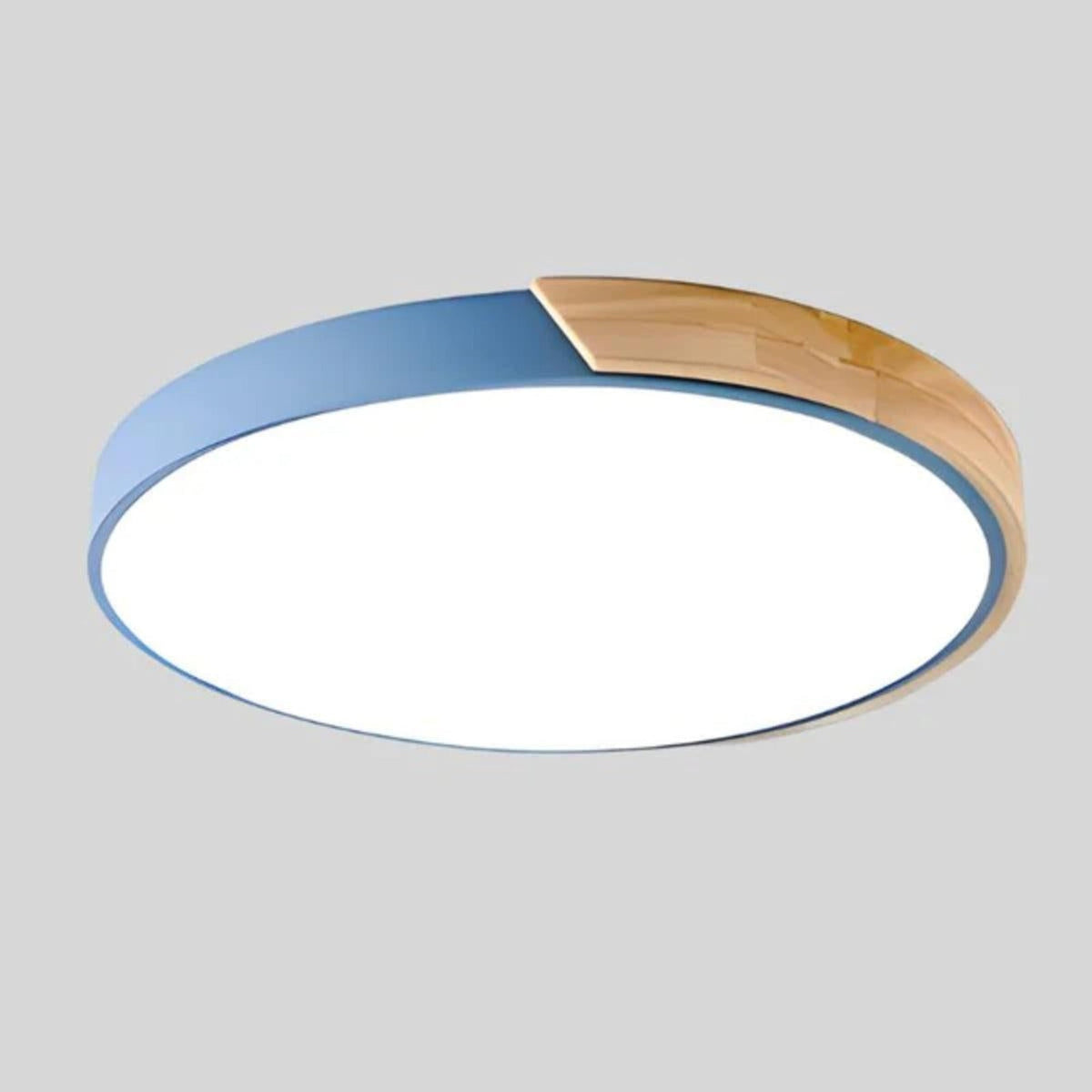 Ceiling Lighting LED Flush Mount Round Fixture Light