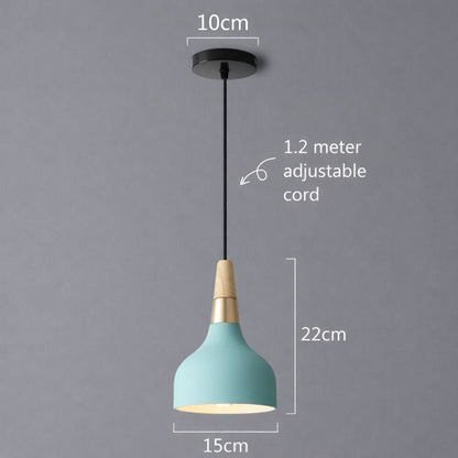 Contemporary Macaron Disc Pendant 1-Light