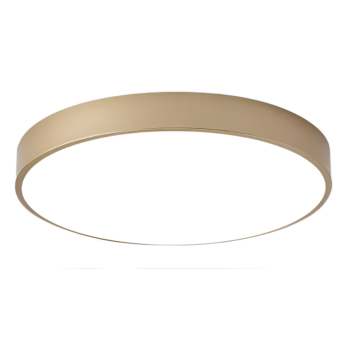 Contemporary Iron Minimal Frame Ceiling Light 1-Light
