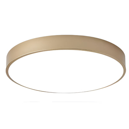 Contemporary Iron Minimal Frame Ceiling Light 1-Light