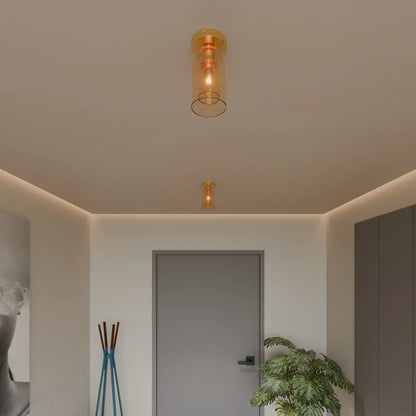 Modern Glass Hardwired Ceiling Light 1-Light