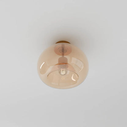 Modern Glass Hardwired Ceiling Light 1-Light