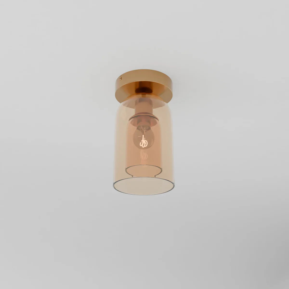 Modern Glass Hardwired Ceiling Light 1-Light