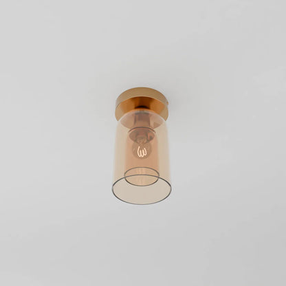 Modern Glass Hardwired Ceiling Light 1-Light