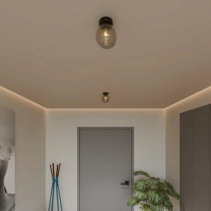 Modern Glass Hardwired Ceiling Light 1-Light