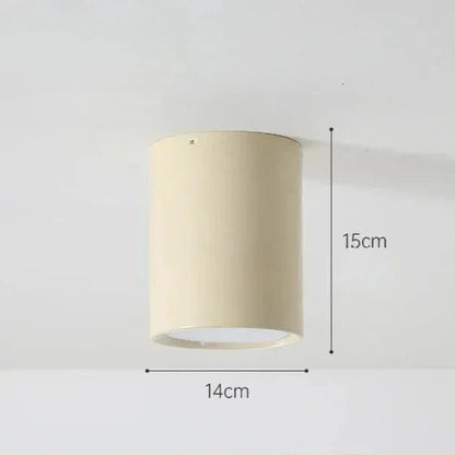 Modern Iron Flush Ceiling Light 1-Light