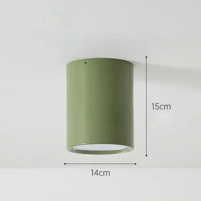 Modern Iron Flush Ceiling Light 1-Light