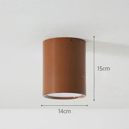 Modern Iron Flush Ceiling Light 1-Light