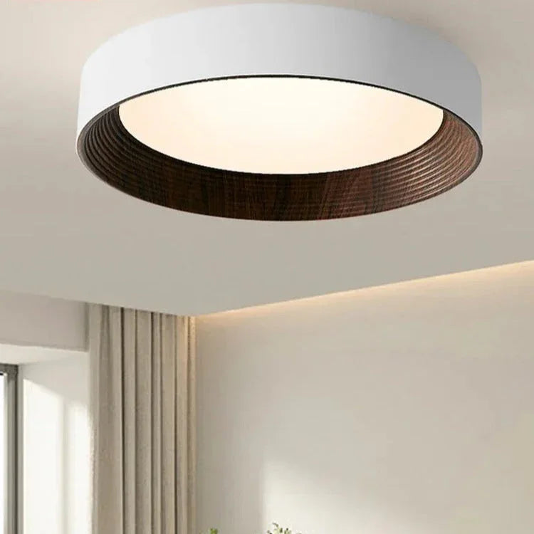 Modern Iron Flush D35cm Ceiling Light 1-Light