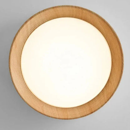Modern Iron Flush D35cm Ceiling Light 1-Light