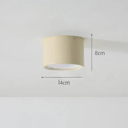 Modern Iron Flush Ceiling Light 1-Light