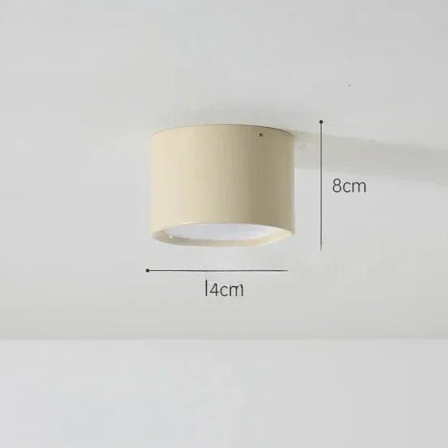 Modern Iron Flush Ceiling Light 1-Light