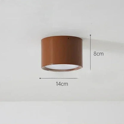 Modern Iron Flush Ceiling Light 1-Light