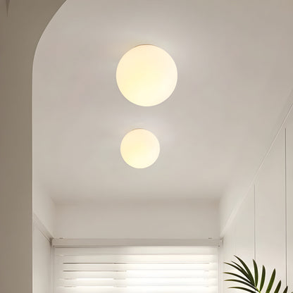 Contemporary Frosted Glass Globe Wall Lamp Sconce