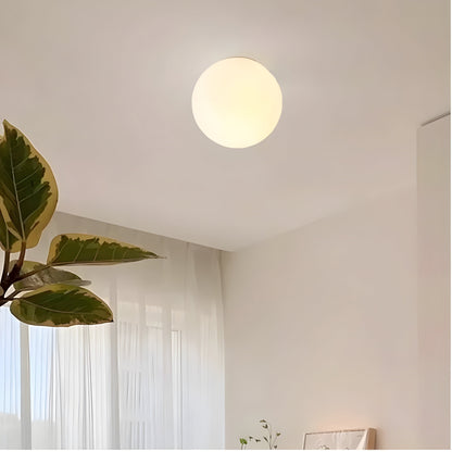 Contemporary Frosted Glass Globe Wall Lamp Sconce
