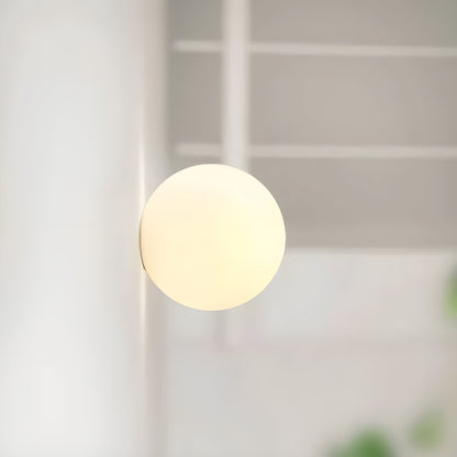 Contemporary Frosted Glass Globe Wall Lamp Sconce