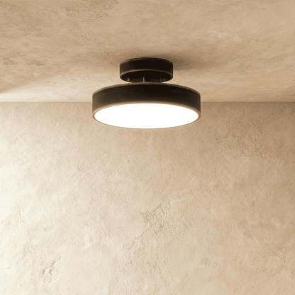 Modern Iron Wide Voltage Ceiling Light 1-Light