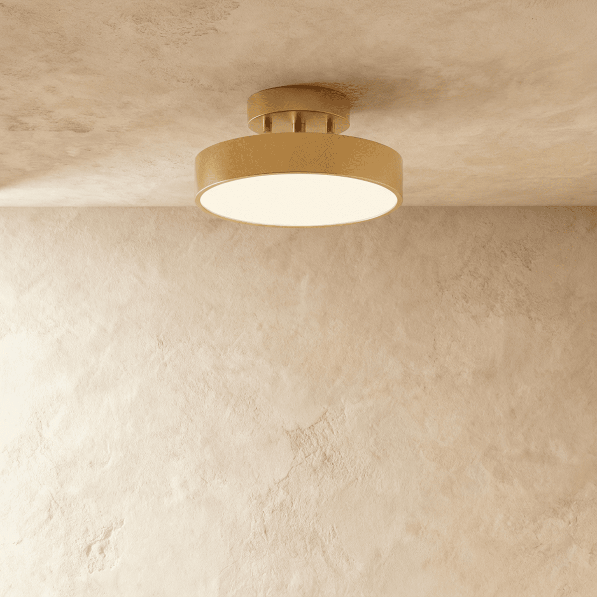 Modern Iron Wide Voltage Ceiling Light 1-Light