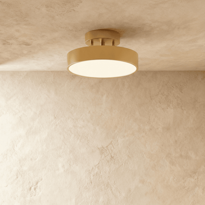 Modern Iron Wide Voltage Ceiling Light 1-Light