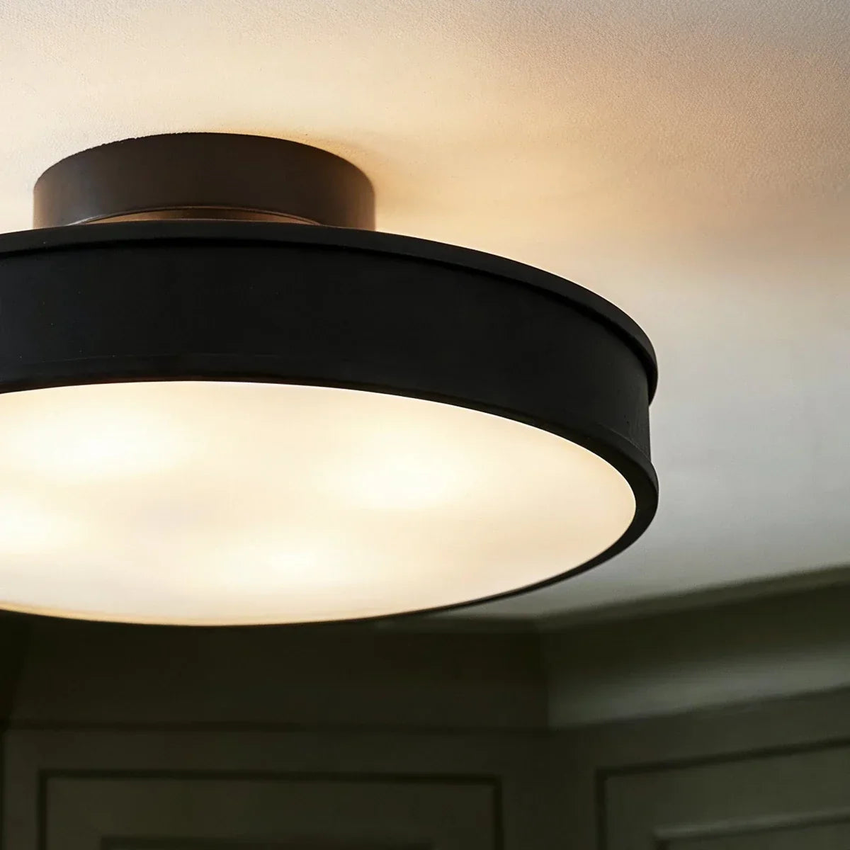 Modern Iron Wide Voltage Ceiling Light 1-Light