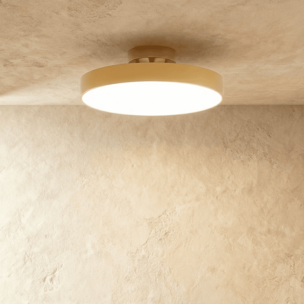 Modern Iron Wide Voltage Ceiling Light 1-Light