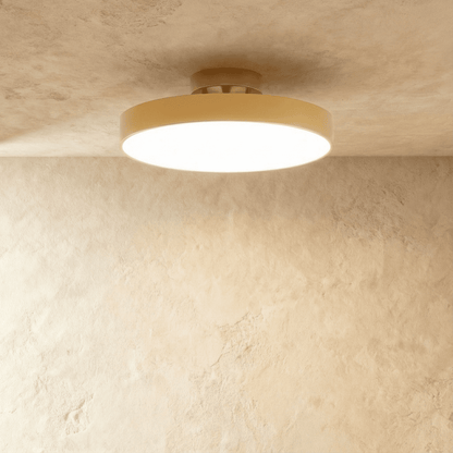Modern Iron Wide Voltage Ceiling Light 1-Light