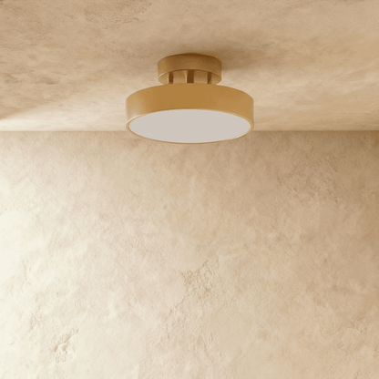Modern Iron Wide Voltage Ceiling Light 1-Light