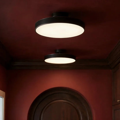 Modern Iron Wide Voltage Ceiling Light 1-Light