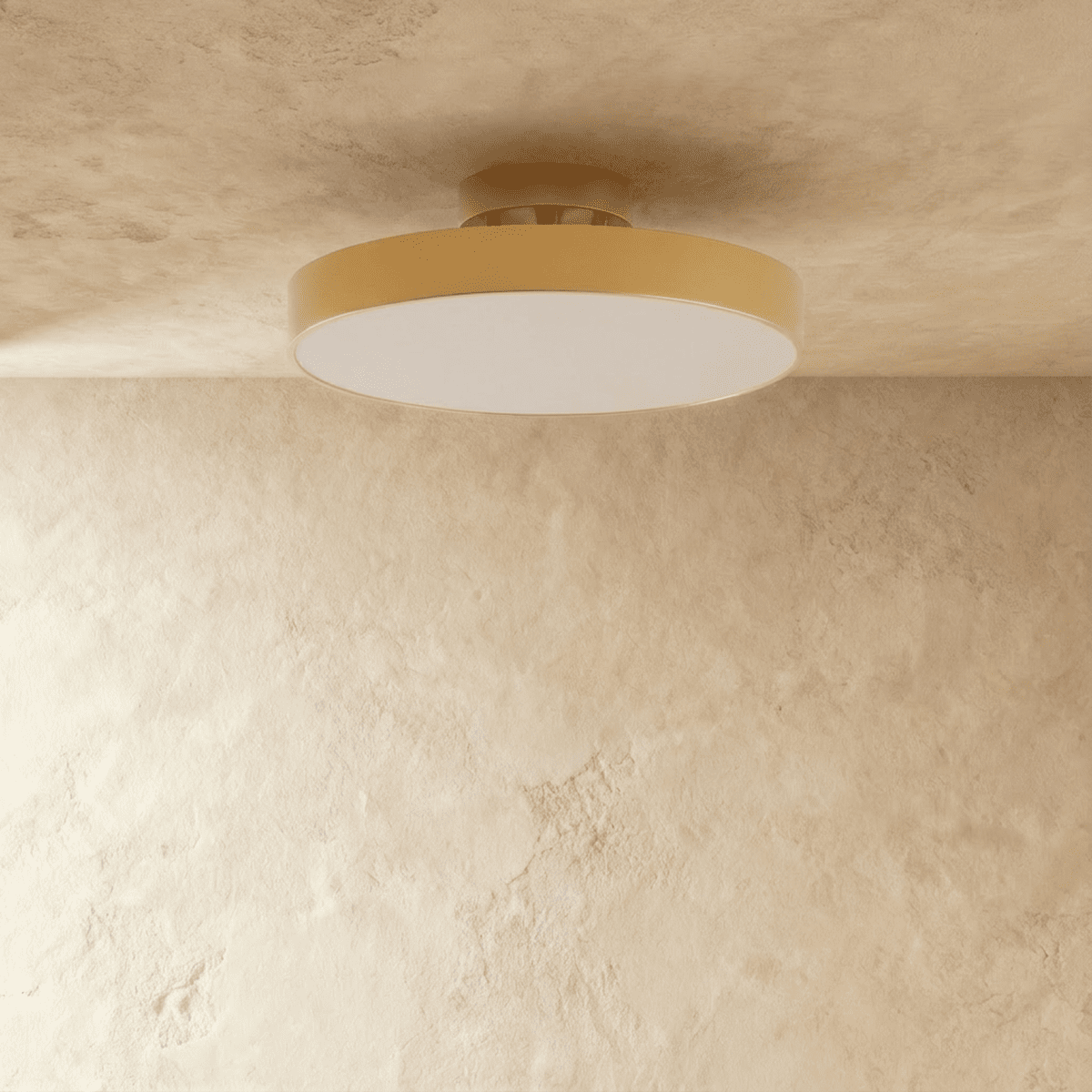 Modern Iron Wide Voltage Ceiling Light 1-Light