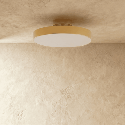 Modern Iron Wide Voltage Ceiling Light 1-Light