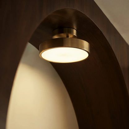 Modern Iron Wide Voltage Ceiling Light 1-Light