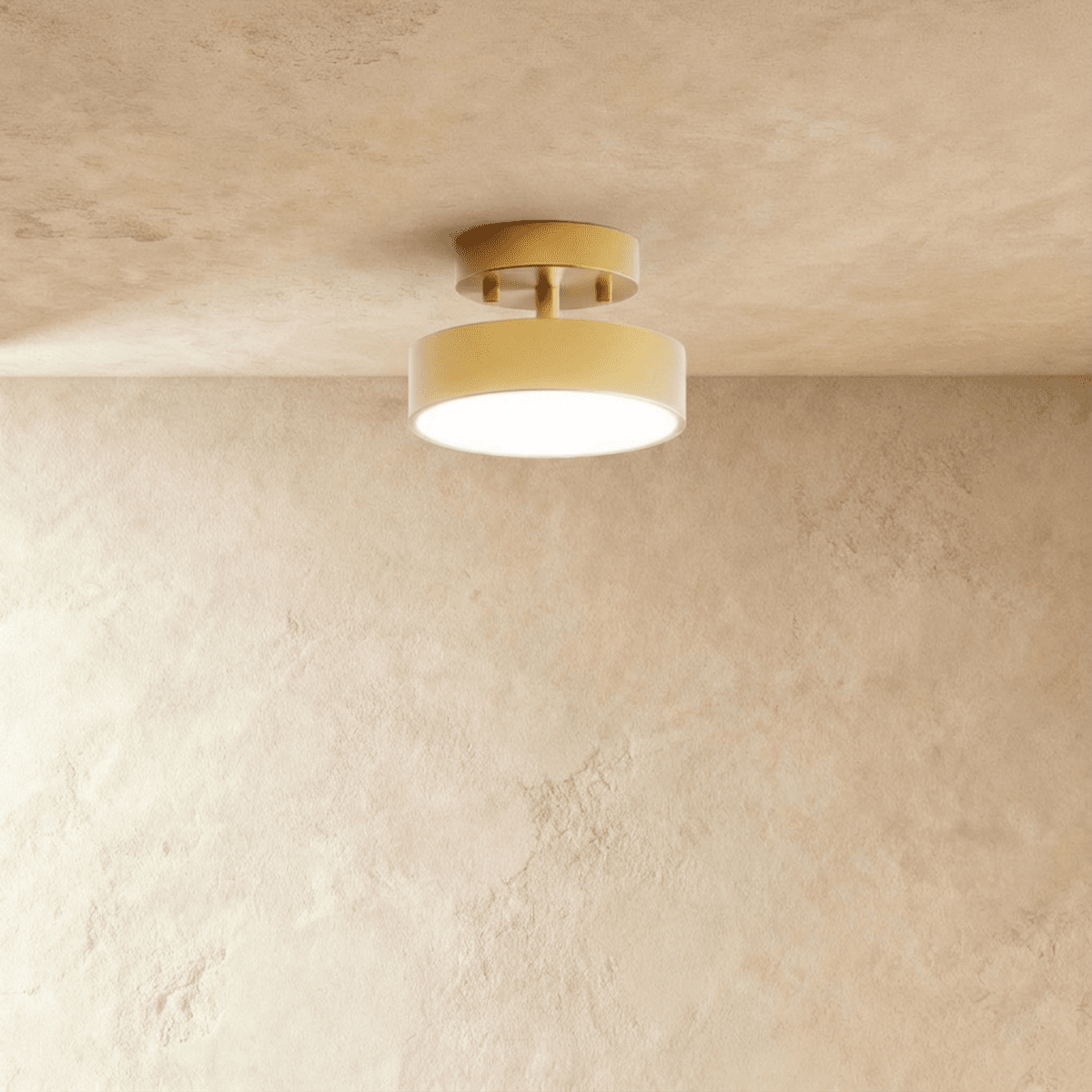 Modern Iron Wide Voltage Ceiling Light 1-Light