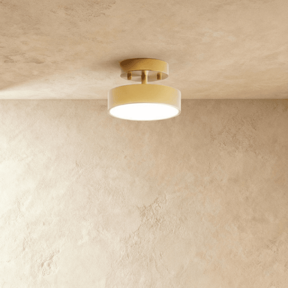 Modern Iron Wide Voltage Ceiling Light 1-Light