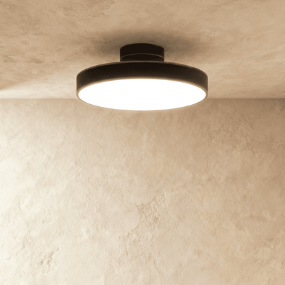 Modern Iron Wide Voltage Ceiling Light 1-Light
