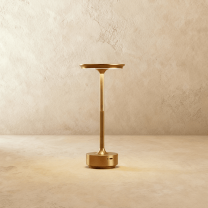 Modern Iron Acrylic Shade Table Lamp 1-Light